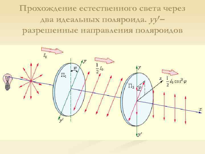 Прохождение естественного света через два идеальных поляроида. yy – ' разрешенные направления поляроидов 