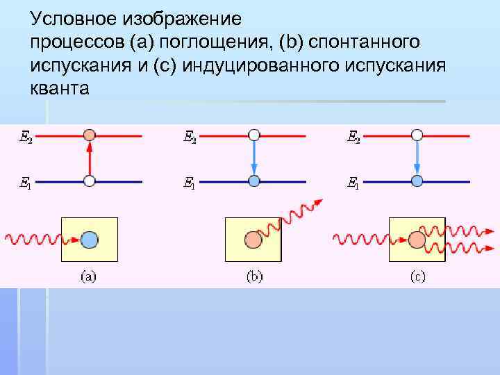 Условное изображение процессов (a) поглощения, (b) спонтанного испускания и (c) индуцированного испускания кванта 