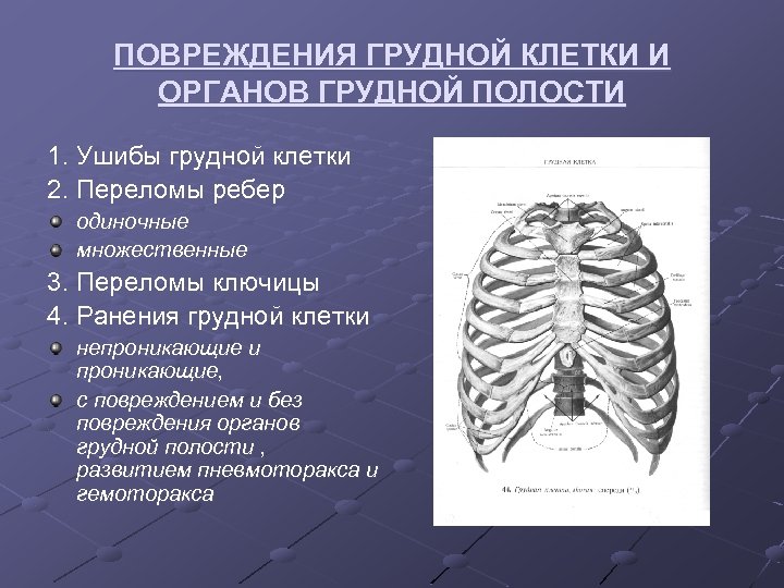 ПОВРЕЖДЕНИЯ ГРУДНОЙ КЛЕТКИ И ОРГАНОВ ГРУДНОЙ ПОЛОСТИ 1. Ушибы грудной клетки 2. Переломы ребер