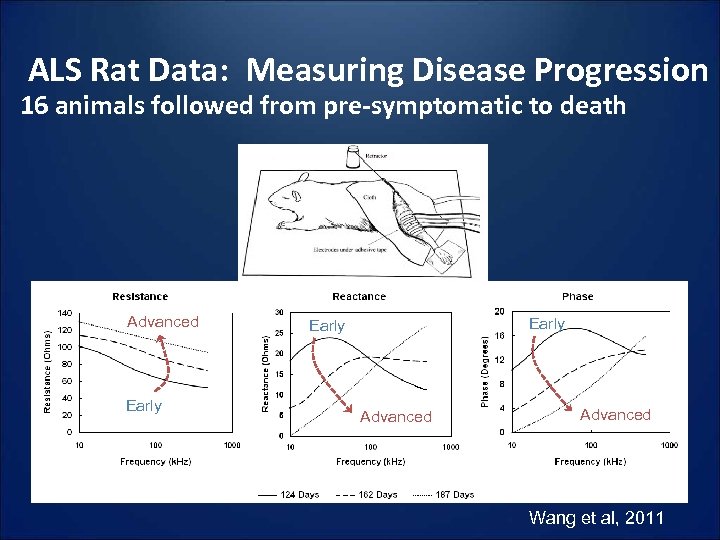 ALS Rat Data: Measuring Disease Progression 16 animals followed from pre-symptomatic to death Advanced