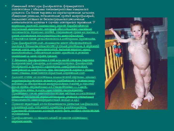  • • • Иммунный ответ при филяриатозах формируется в соответствии с общими закономерностями