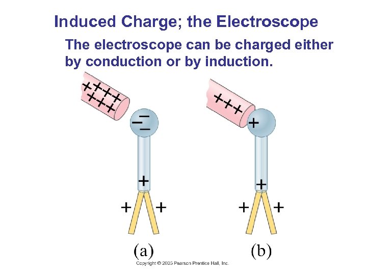 Induced Charge; the Electroscope The electroscope can be charged either by conduction or by