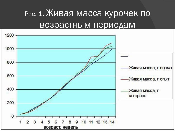 Рис. 1. Живая масса курочек по возрастным периодам 