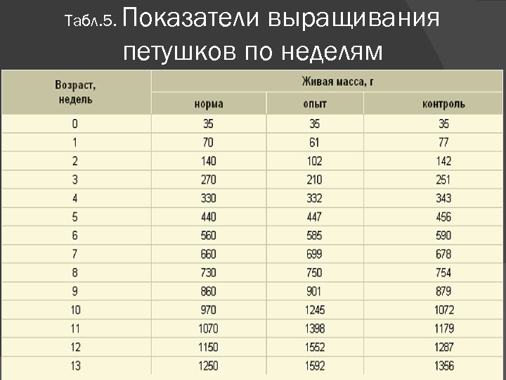 Табл. 5. Показатели выращивания петушков по неделям 