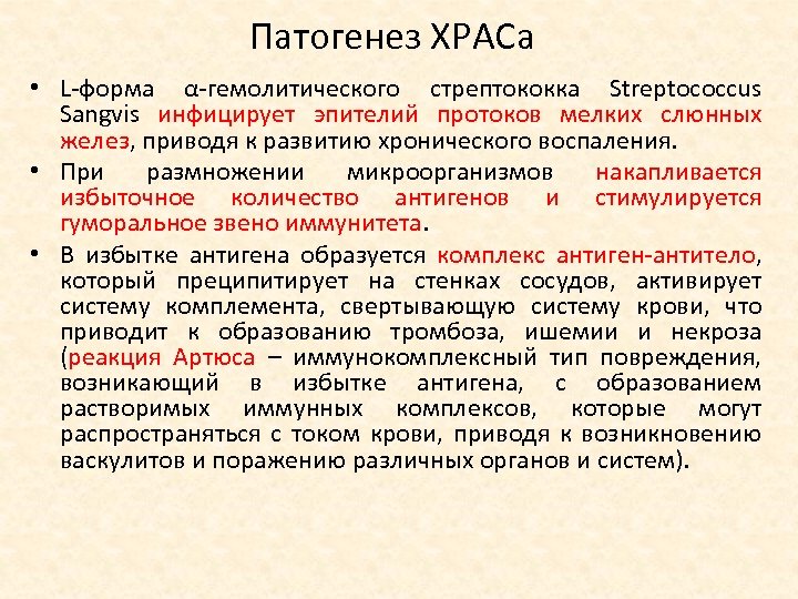 Патогенез ХРАСа • L форма α гемолитического стрептококка Streptococcus Sangvis инфицирует эпителий протоков мелких