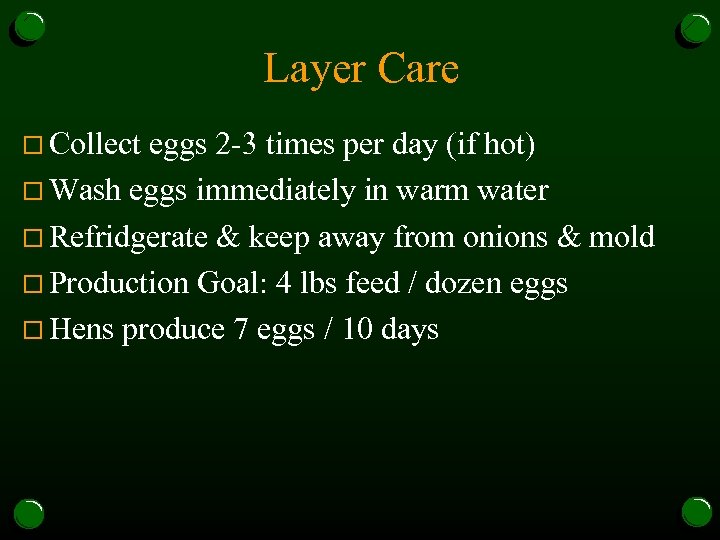 Layer Care o Collect eggs 2 -3 times per day (if hot) o Wash