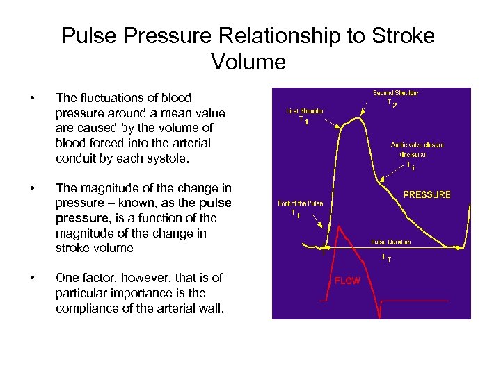 Pulse Pressure Relationship to Stroke Volume • The fluctuations of blood pressure around a