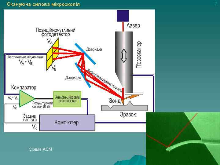 Скануюча силова мікроскопія Схема АСМ 17 