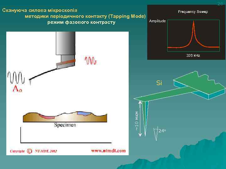 26 Скануюча силова мікроскопія методики періодичного контакту (Tapping Mode) режим фазового контрасту ~10 мкм