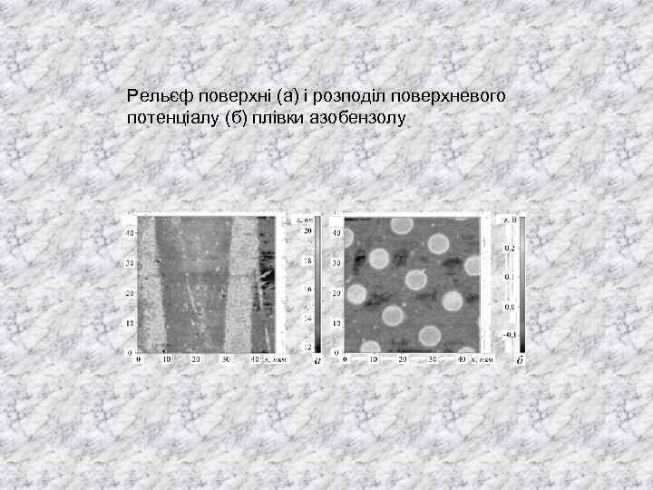 Рельєф поверхні (а) і розподіл поверхневого потенціалу (б) плівки азобензолу 