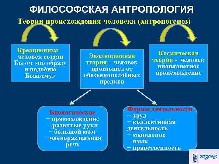 ФИЛОСОФСКАЯ АНТРОПОЛОГИЯ Теории происхождения человека (антропогенез) Креационизм – человек создан Богом «по образу и