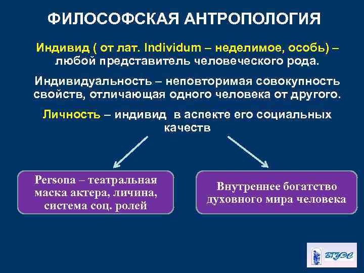 ФИЛОСОФСКАЯ АНТРОПОЛОГИЯ Индивид ( от лат. Individum – неделимое, особь) – любой представитель человеческого