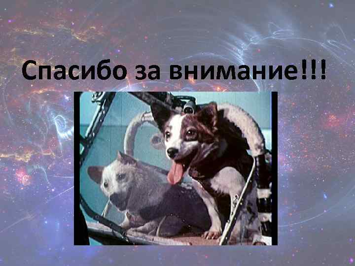 Спасибо за внимание!!! 