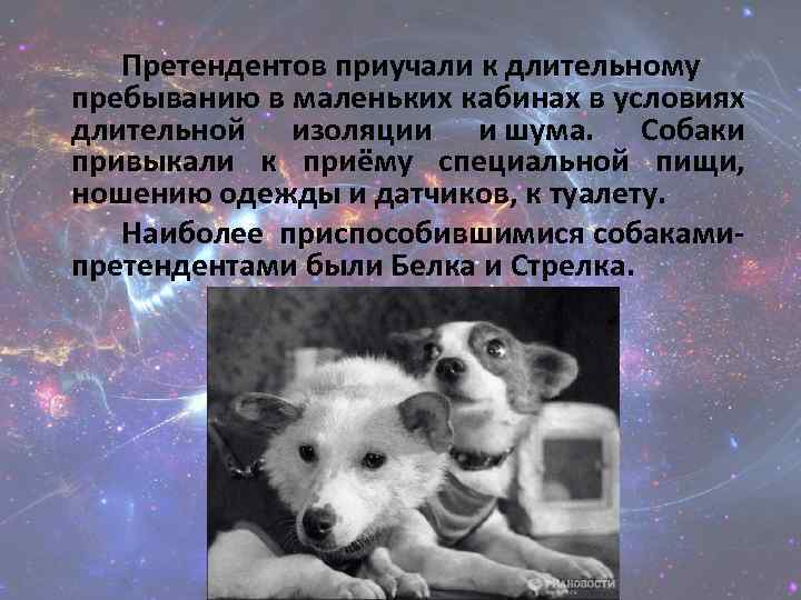  Претендентов приучали к длительному пребыванию в маленьких кабинах в условиях длительной изоляции и