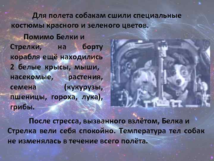 Для полета собакам сшили специальные костюмы красного и зеленого цветов. Помимо Белки и Стрелки,