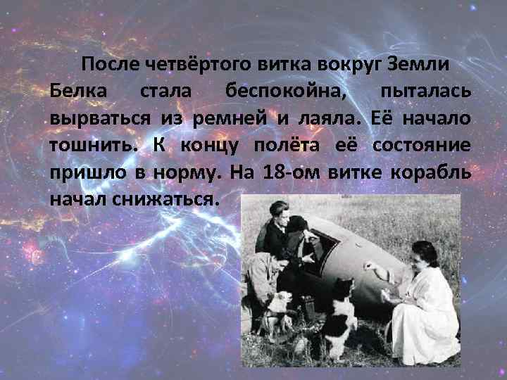 После четвёртого витка вокруг Земли Белка стала беспокойна, пыталась вырваться из ремней и лаяла.
