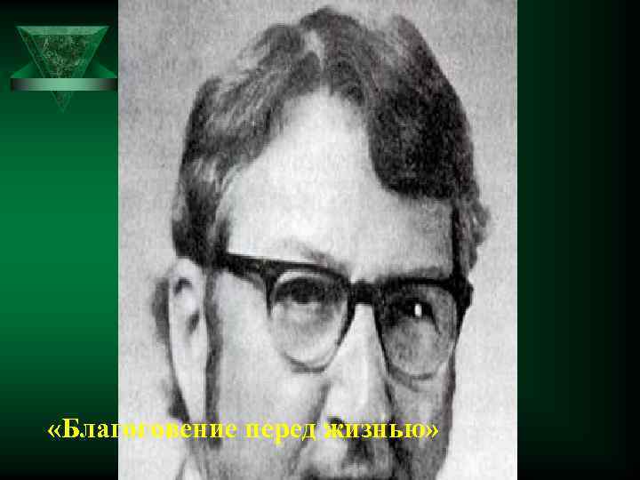  «Благоговение перед жизнью» 