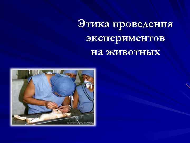 Этика проведения экспериментов на животных 