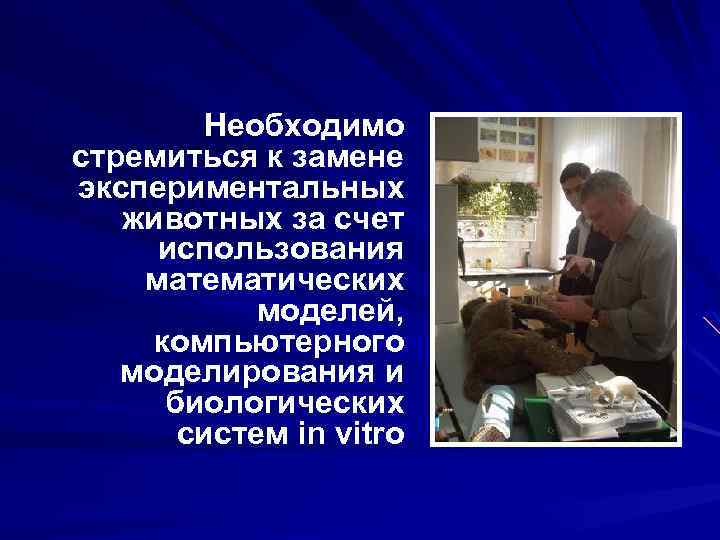 Необходимо стремиться к замене экспериментальных животных за счет использования математических моделей, компьютерного моделирования и