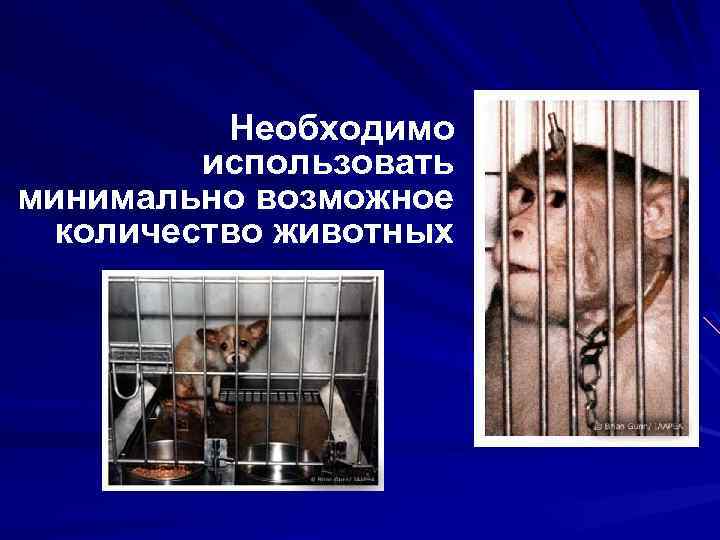 Необходимо использовать минимально возможное количество животных 