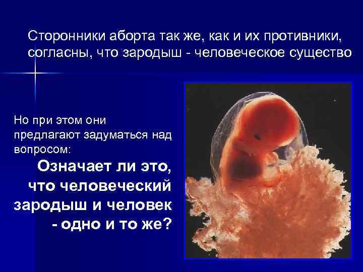 Сторонники аборта так же, как и их противники, согласны, что зародыш - человеческое существо