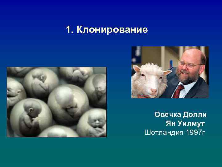 1. Клонирование Овечка Долли Ян Уилмут Шотландия 1997 г 