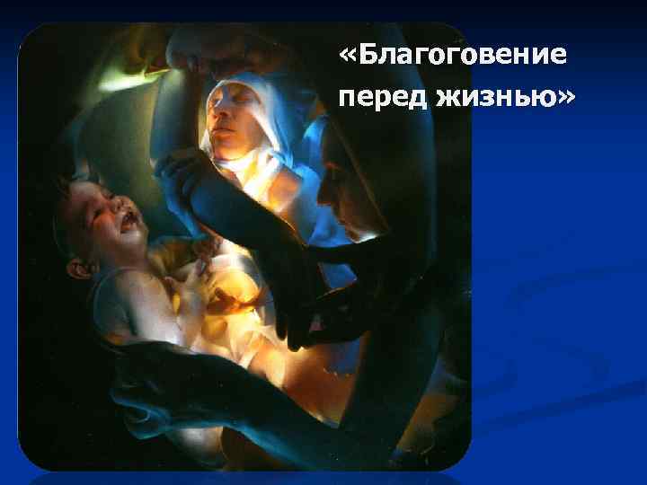  «Благоговение перед жизнью» 