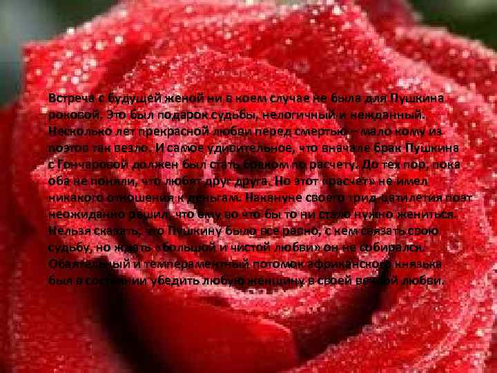  Встреча с будущей женой ни в коем случае не была для Пушкина роковой.