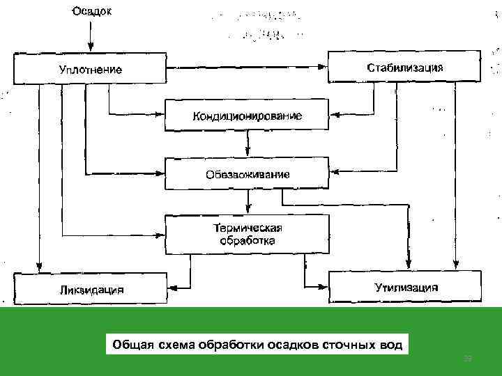 Виды санобработки схема