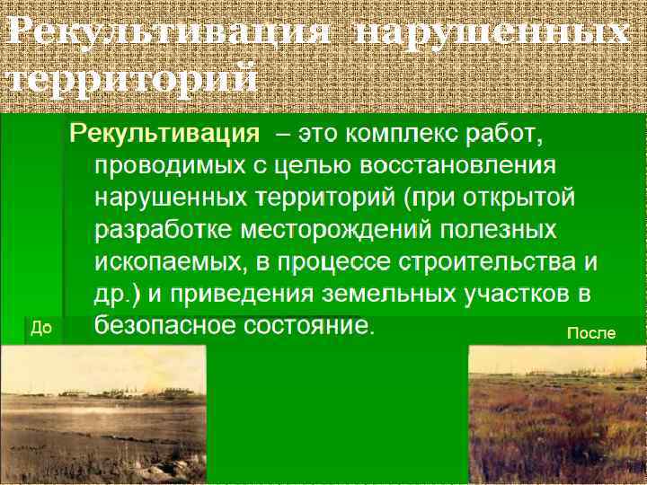 Рекультивация нарушенных территорий 33 