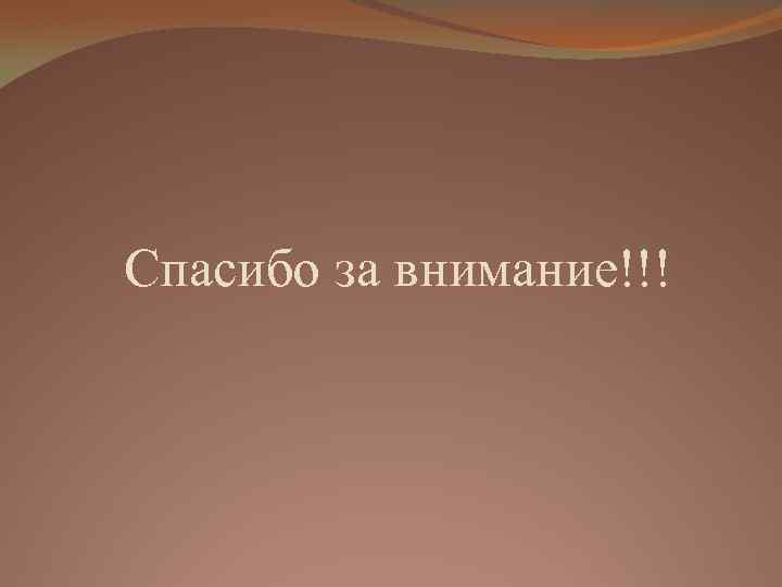 Спасибо за внимание!!! 