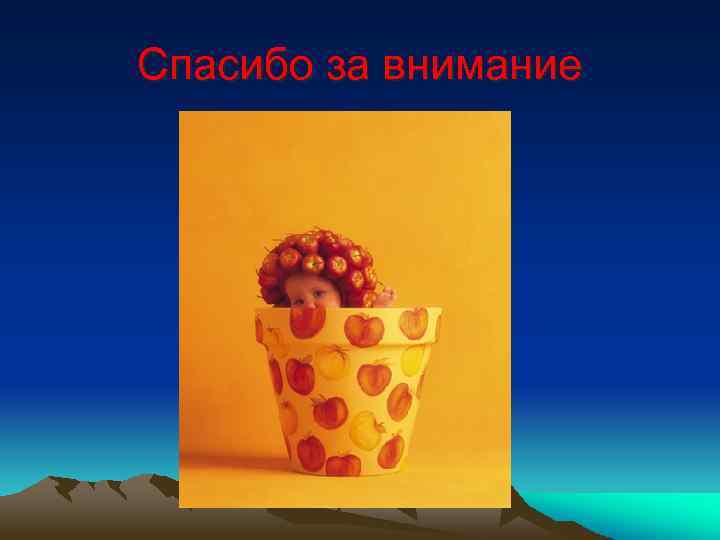 Спасибо за внимание 