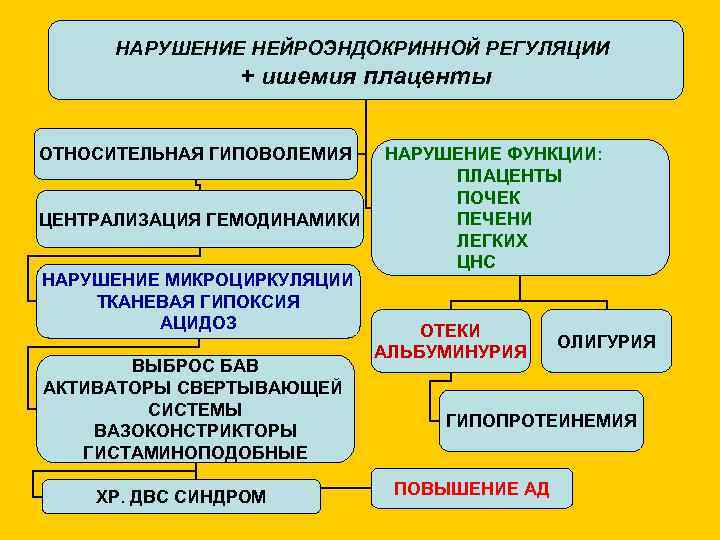НАРУШЕНИЕ НЕЙРОЭНДОКРИННОЙ РЕГУЛЯЦИИ + ишемия плаценты ОТНОСИТЕЛЬНАЯ ГИПОВОЛЕМИЯ ЦЕНТРАЛИЗАЦИЯ ГЕМОДИНАМИКИ НАРУШЕНИЕ МИКРОЦИРКУЛЯЦИИ ТКАНЕВАЯ ГИПОКСИЯ