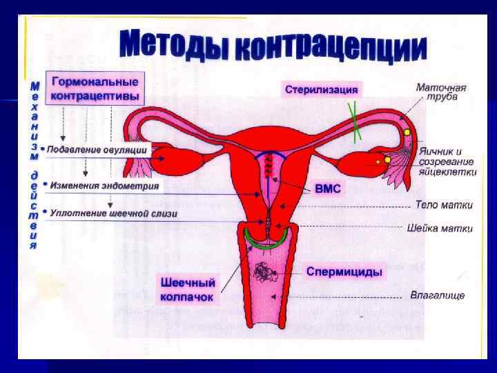 Презентация на тему контрацептивы