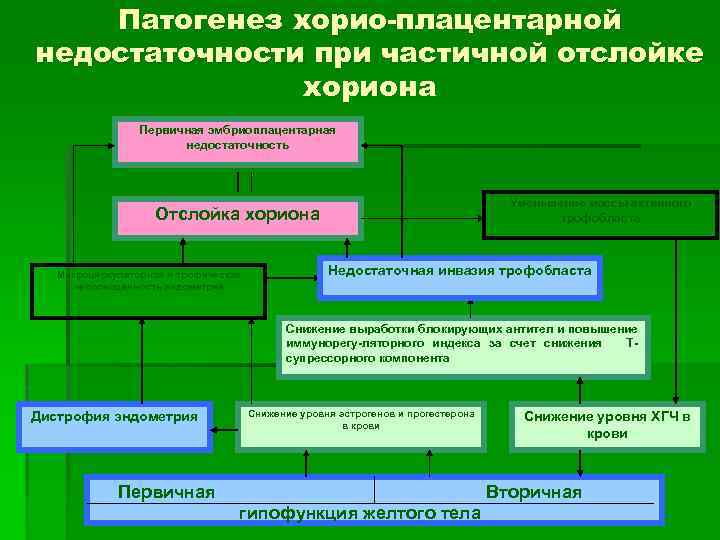 Патогенез хорио-плацентарной недостаточности при частичной отслойке хориона Первичная эмбриоплацентарная недостаточность Уменьшение массы активного трофобласта