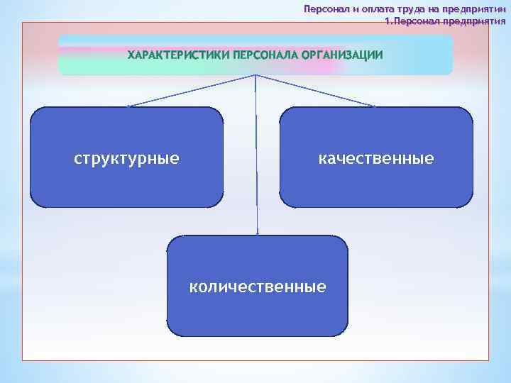 Персонал и оплата труда на предприятии 1. Персонал предприятия ХАРАКТЕРИСТИКИ ПЕРСОНАЛА ОРГАНИЗАЦИИ структурные качественные