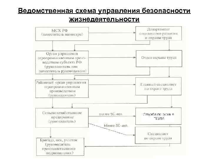 Ведомственная схема управления безопасности жизнедеятельности 