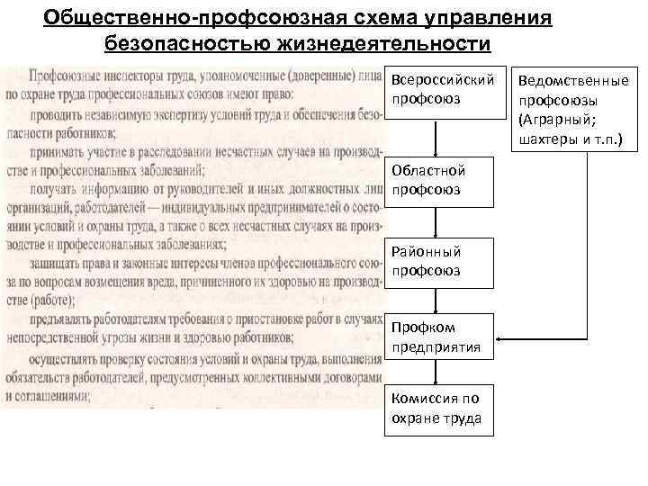 Общественно-профсоюзная схема управления безопасностью жизнедеятельности Всероссийский профсоюз Областной профсоюз Районный профсоюз Профком предприятия Комиссия