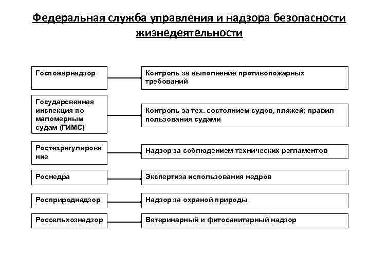 Федеральная служба управления и надзора безопасности жизнедеятельности Госпожарнадзор Контроль за выполнение противопожарных требований Государсвенная
