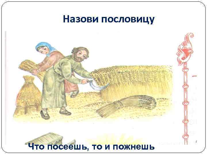 Назови пословицу Что посеешь, то и пожнешь 