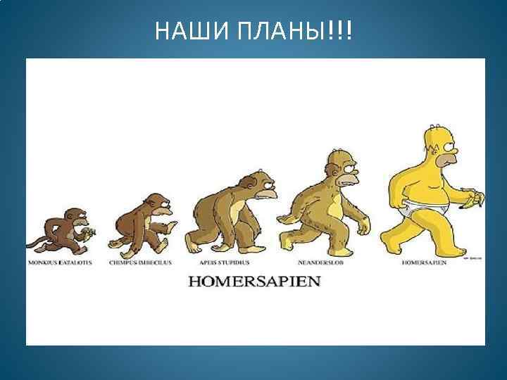 НАШИ ПЛАНЫ!!! 