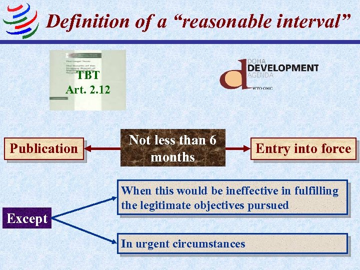 Definition of a “reasonable interval” TBT Art. 2. 12 Publication Except Not less than