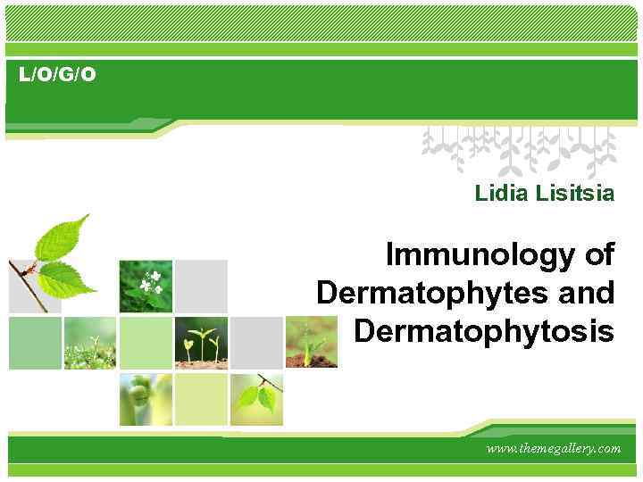 L/O/G/O Lidia Lisitsia Immunology of Dermatophytes and Dermatophytosis www. themegallery. com 