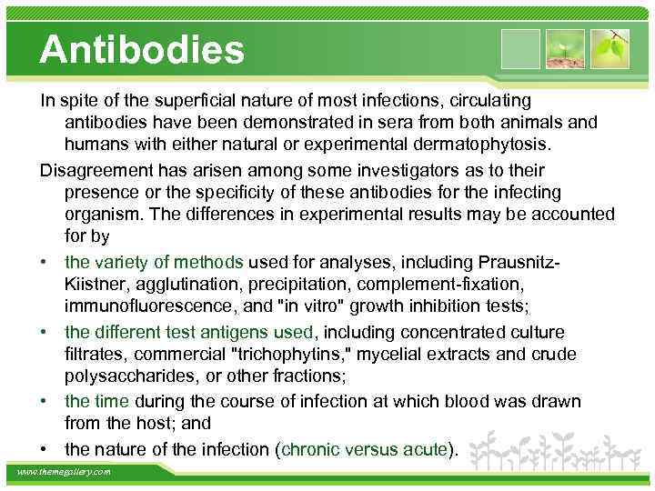 Antibodies In spite of the superficial nature of most infections, circulating antibodies have been