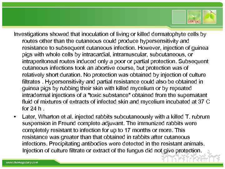 Investigations showed that inoculation of living or killed dermatophyte cells by routes other than