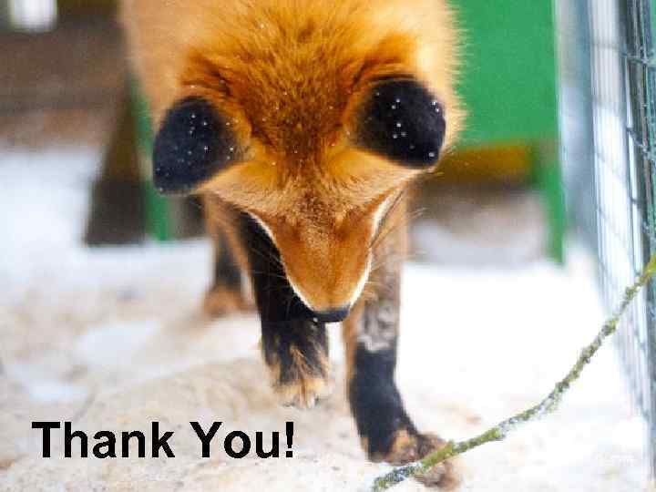 L/O/G/O Thank You! www. themegallery. com 