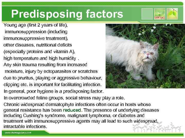 Predisposing factors Young age (first 2 years of life), immunosuppression (including immunosuppressive treatment), other