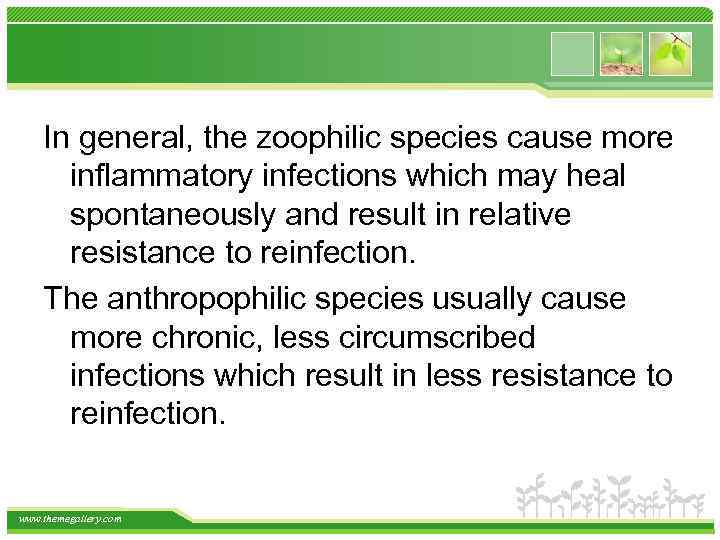 In general, the zoophilic species cause more inflammatory infections which may heal spontaneously and