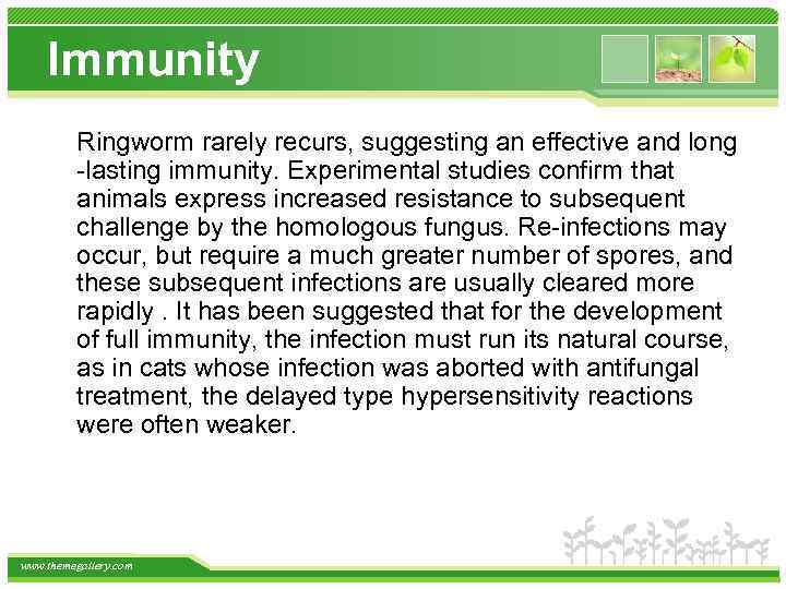 Immunity Ringworm rarely recurs, suggesting an effective and long -lasting immunity. Experimental studies confirm