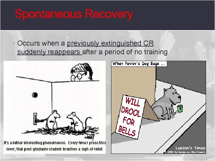 Spontaneous Recovery • Occurs when a previously extinguished CR suddenly reappears after a period